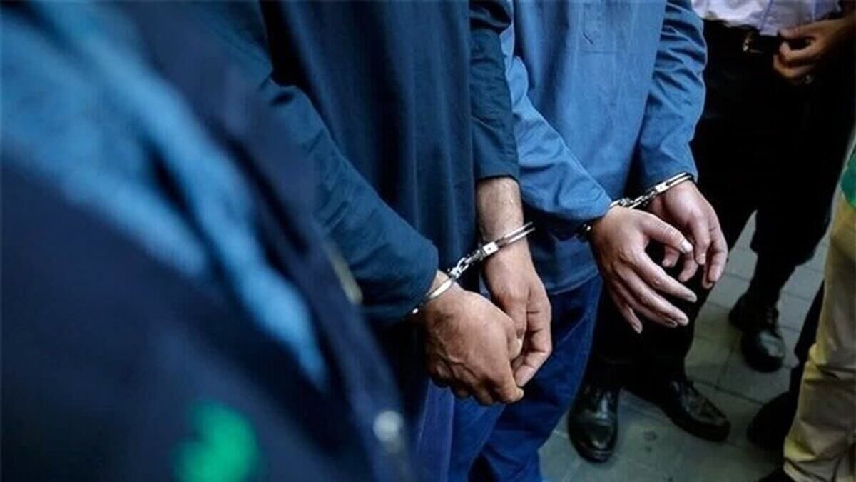 بازداشت ۴ جیب بر حرفه‌ای تبعه افغانستان