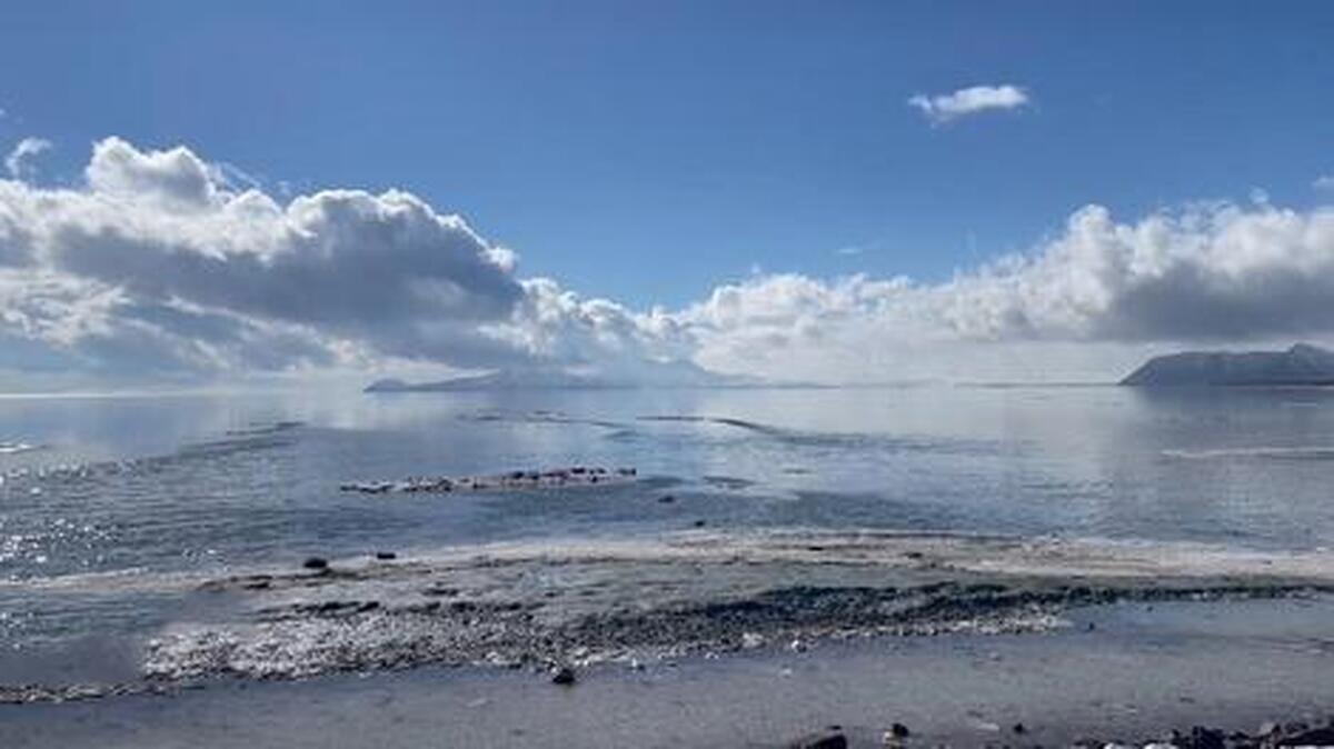 احیای دریاچه ارومیه طی۶ سال | ژاپنی‌ها به کمک ایران آمدند