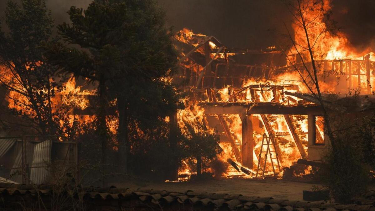 آخرین وضعیت آتش سوزی در شیلی | ۱۲۳ نفر کشته و صد‌ها نفر ناپدید شدند