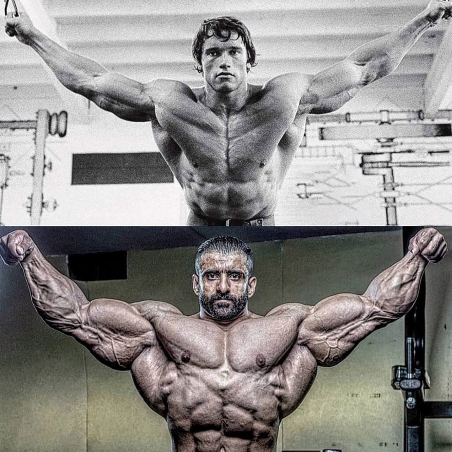 عکس | مقایسه تصویری آرنولد و هادی چوپان