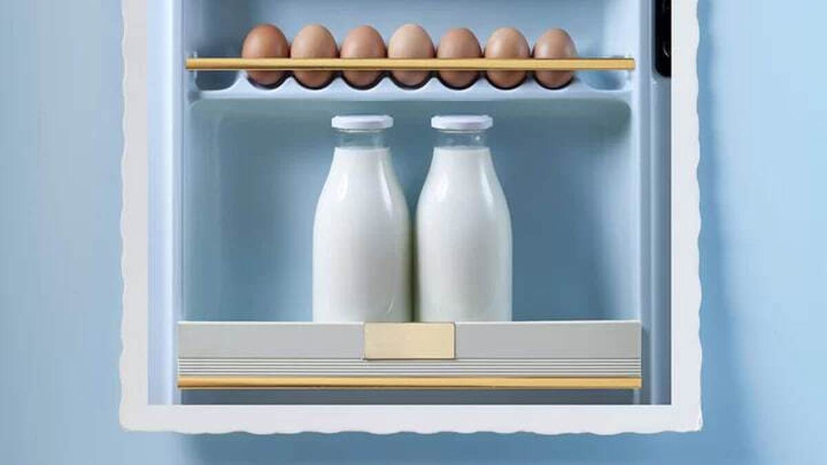 شیر پاستوریزه بهتر است یا شیر تازه ؟ | روش‌های مهم برای نگهداری شیر