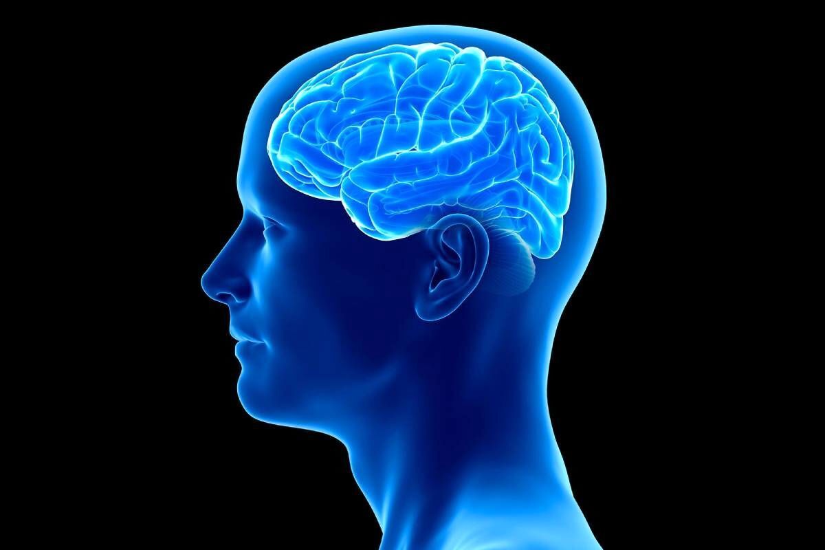 چگونه به کمک پیاده‌روی عملکرد مغزمان را بهبود بخشیم؟