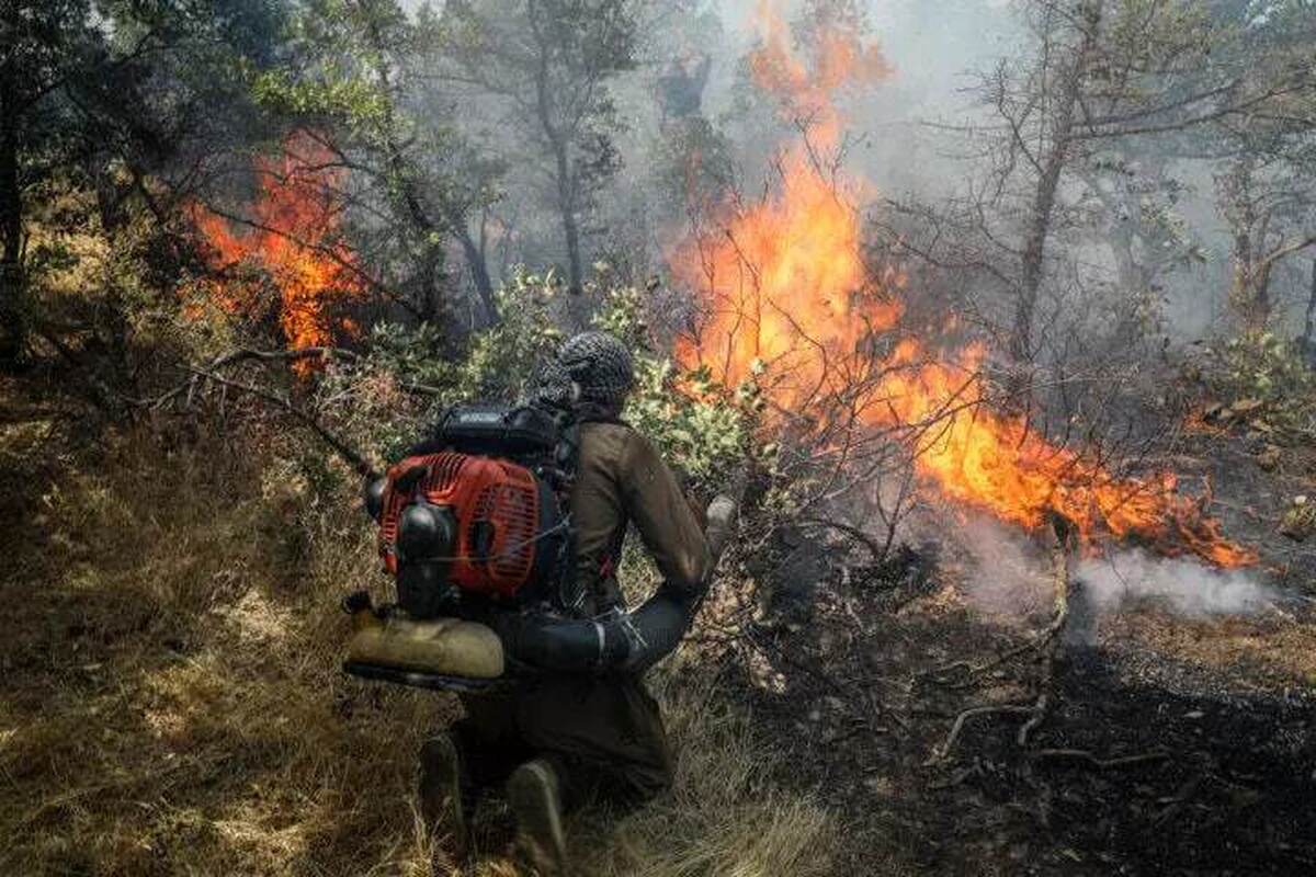 آتش‌سوزی هولناک در جنگل نوشهر