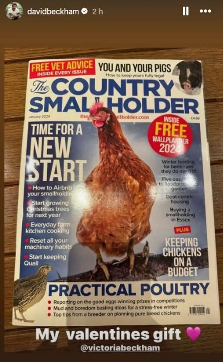 عکس | هدیه ولنتاین؛ دیوید بکام سوپرایز شد