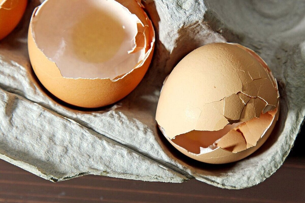 استفاده عجیب از پوست تخم مرغ که کاربرد زیادی دارد