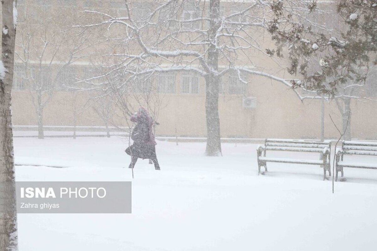 عکس | بارش برف در تبریز و خوشحالی مردم