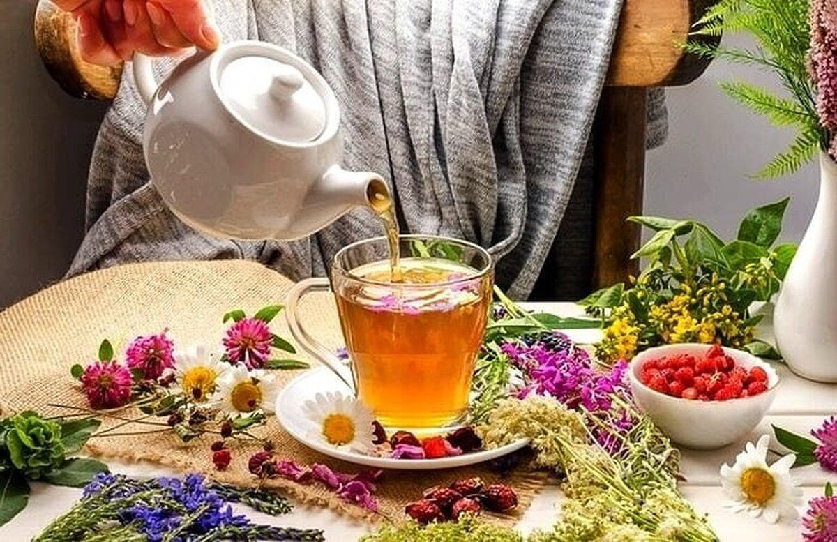 نوشیدن ۳ فنجان چای در روز روند پیری بیولوژیکی را کُند می‌کند