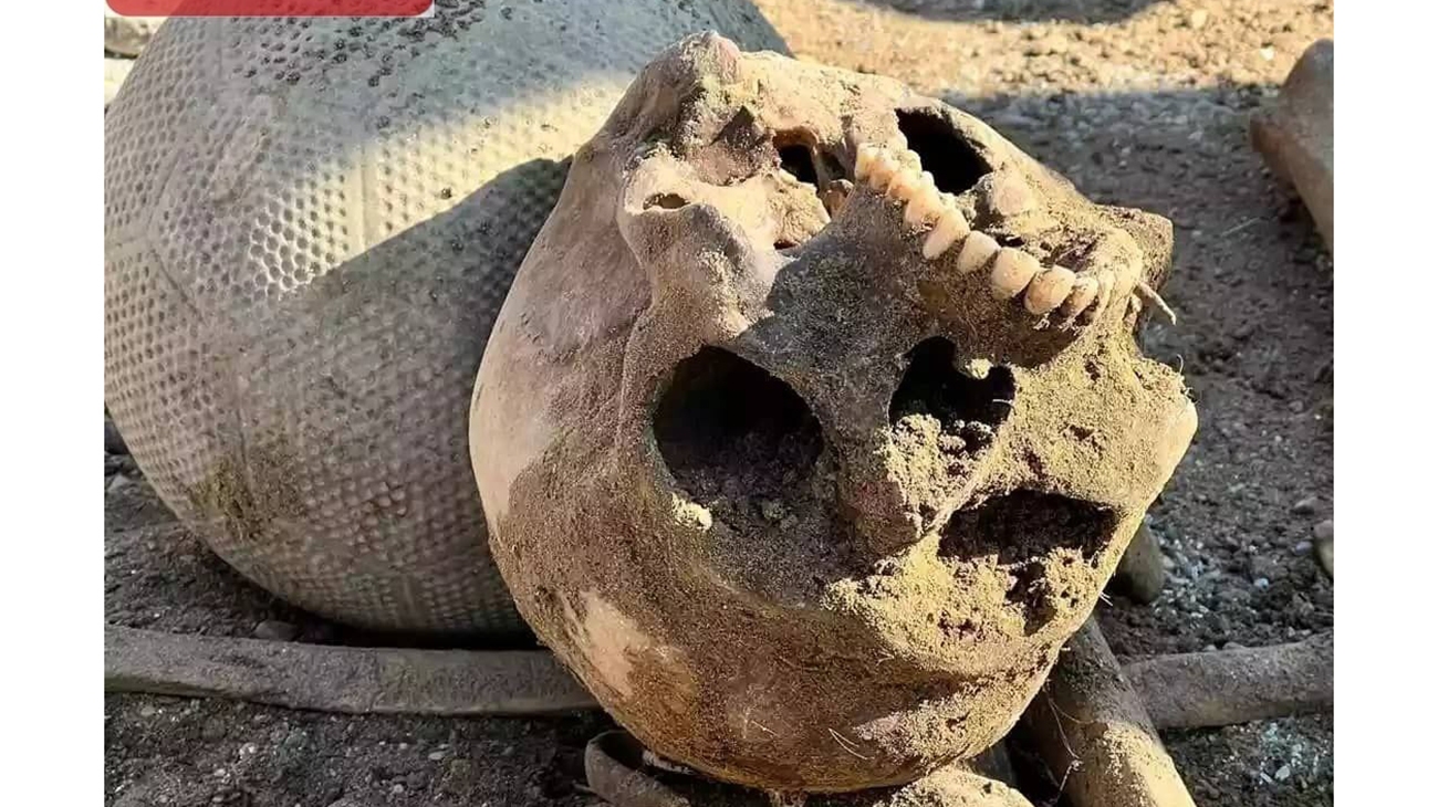 عجیب‌ترین پرونده قتل تهران | ماجرای مقتولی که به خواب پدرش رفت و راز قتل هولناک را فاش کرد  + تصاویر دلخراش از کشف جسد