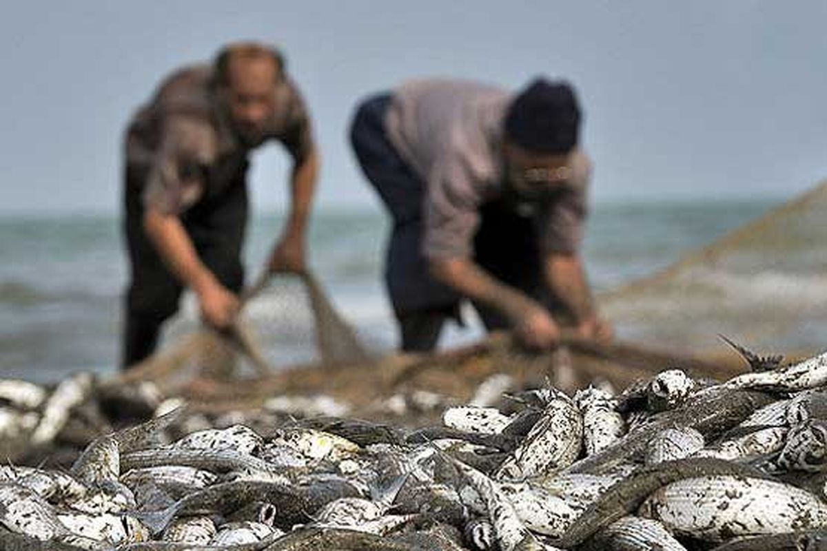 صید ماهی در خوزستان ممنوع شد