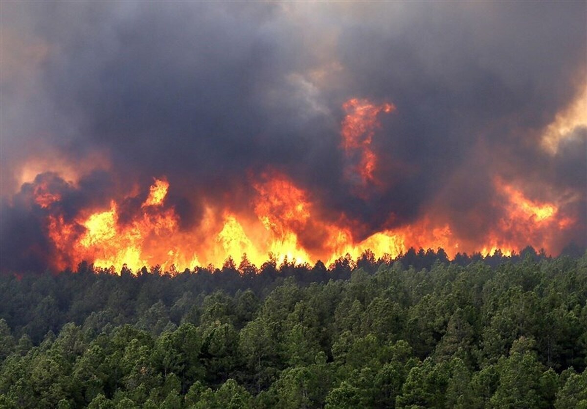 ویدیو | آتش‌سوزی وحشتناک در جنگل‌های چین