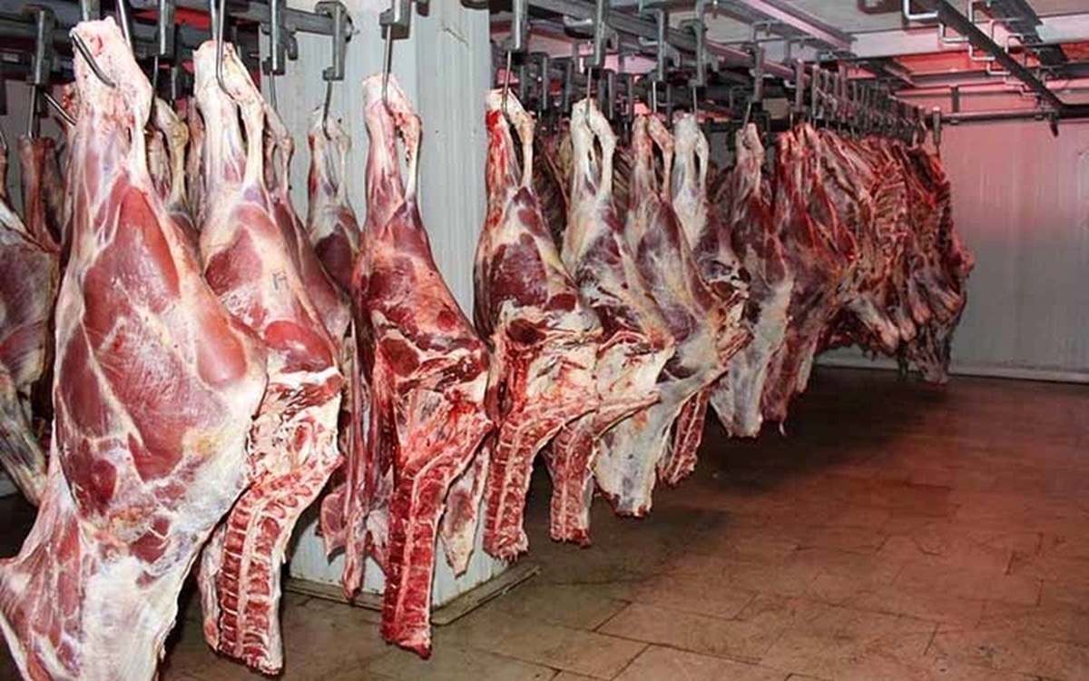 یک خبر نگران‌کننده برای بازار گوشت | قیمت جدید دام چقدر است ؟