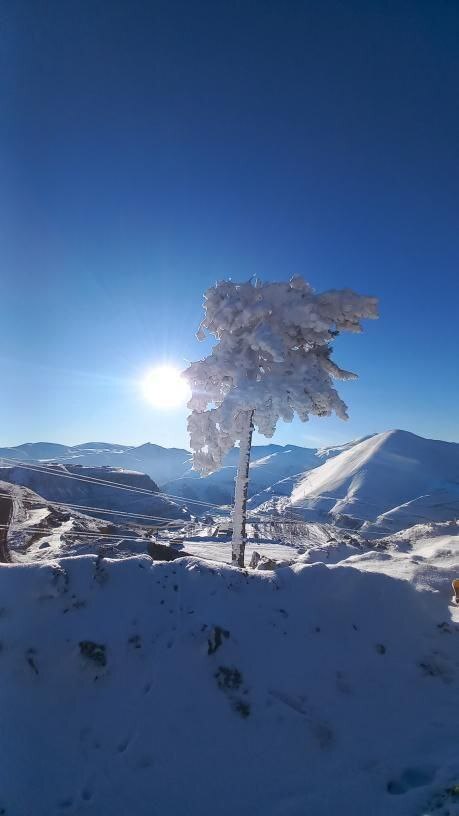 عکس | آذربایجان شرقی فریز شد