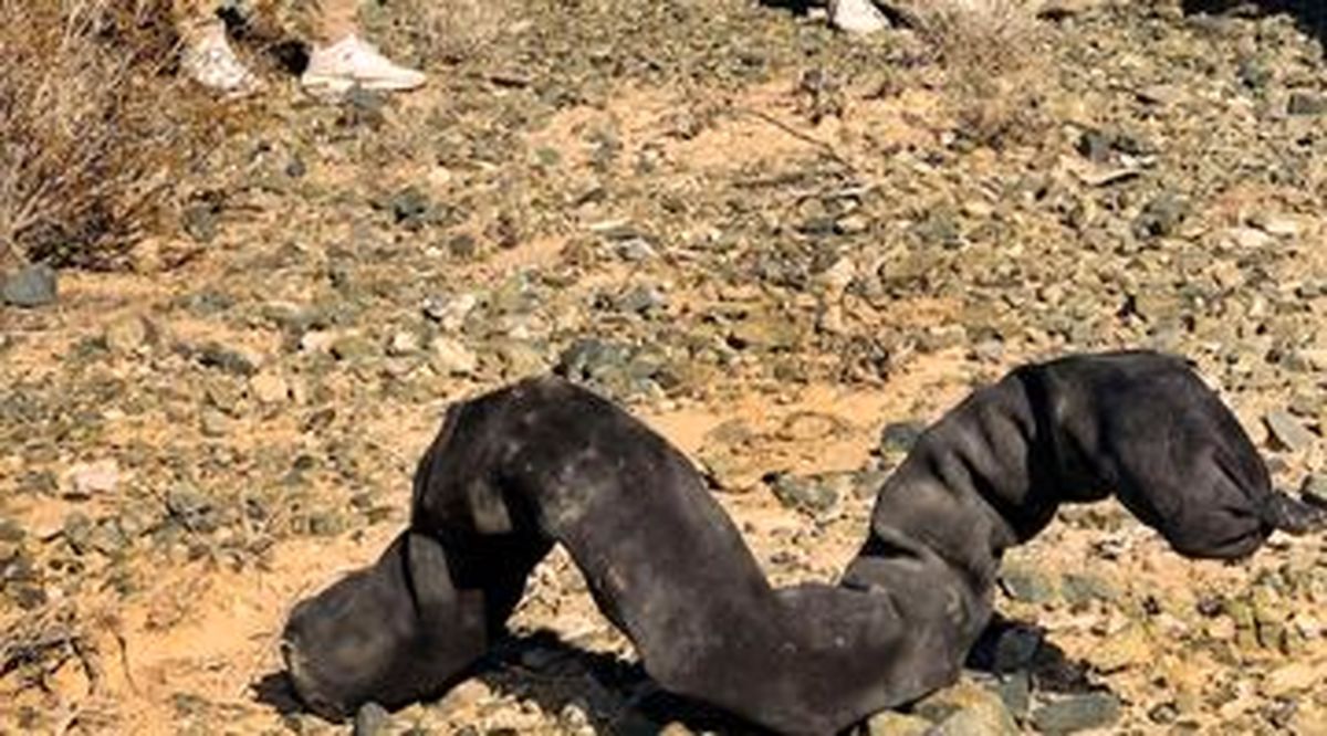 عکس |  کبری جنجالی به ماه می‌رود