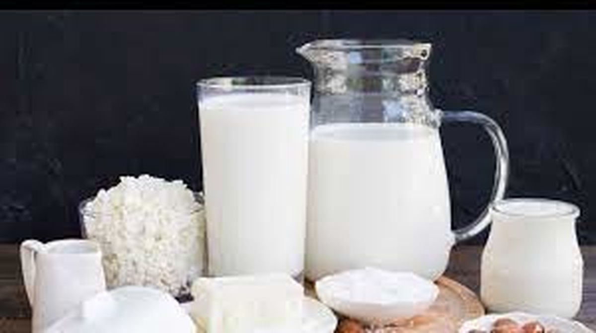 موافقت دولت با افزایش ۲۵ درصدی قیمت شیرخام