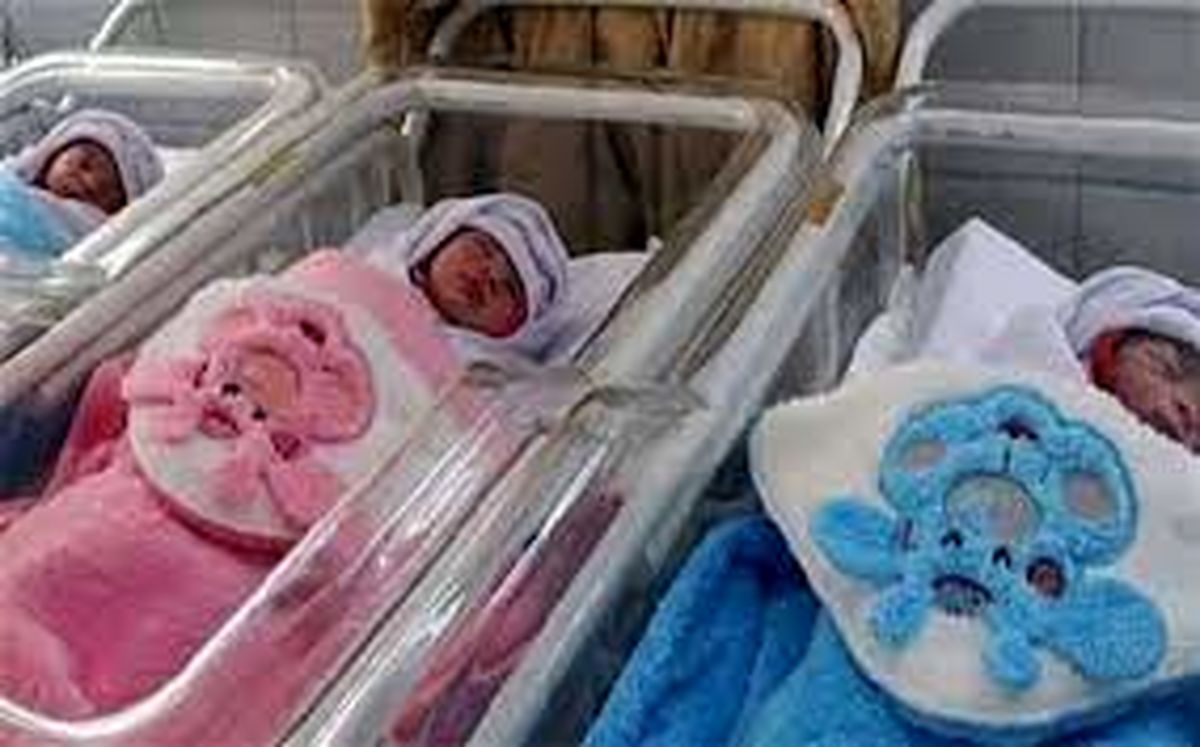 تولد ۳۸ هزار چند قلو در سال گذشته؛ بیشترین چندقلوها در تهران متولد شدند