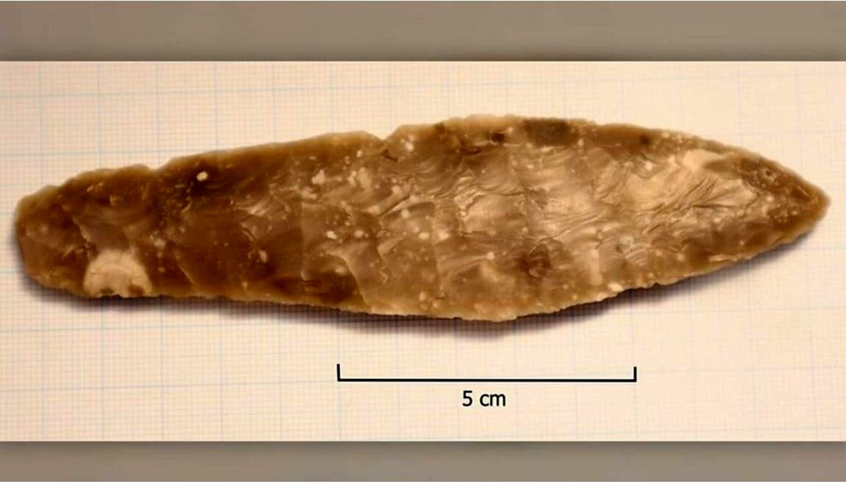 عکس | ماجرای جالب کشف یک خنجر اسرارآمیز ۳ هزار ساله!