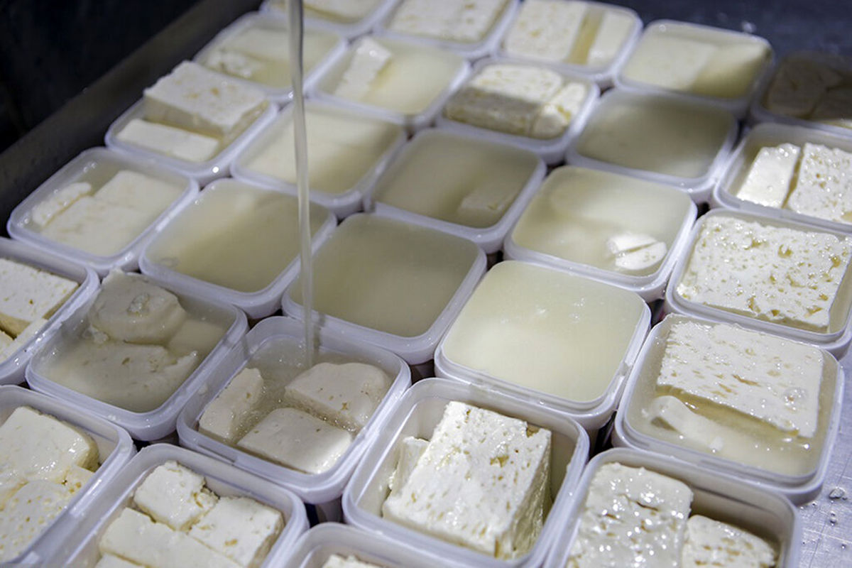 پنیر گوسفندی هم لاکچری شد! جدول قیمت ارزان‌ترین پنیرهای سفید بازار