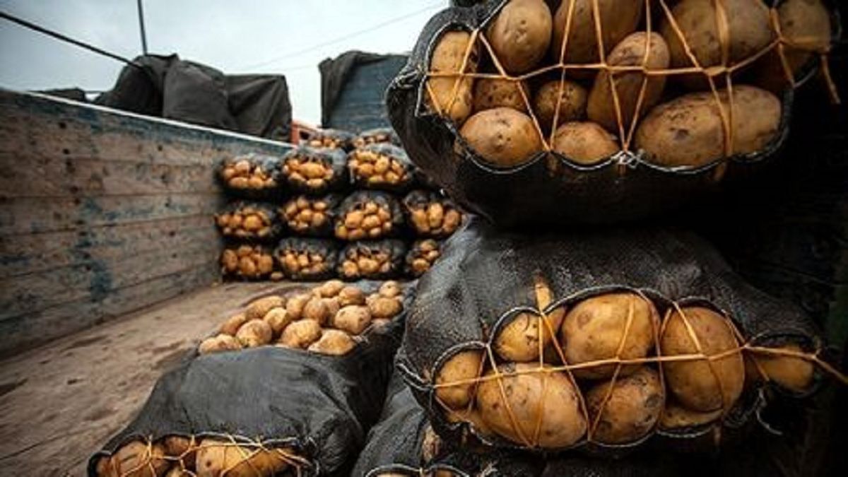 عملیات پرسروصدای پلیس در میدان تره‌بار مرکزی تهران؛ مغزتان سوت می‌کشد!