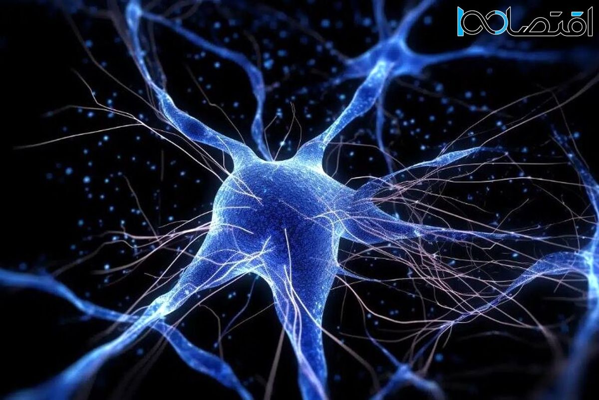 «بیگ‌نورون»؛ انقلابی در بازسازی نورون‌های مغز با هوش مصنوعی