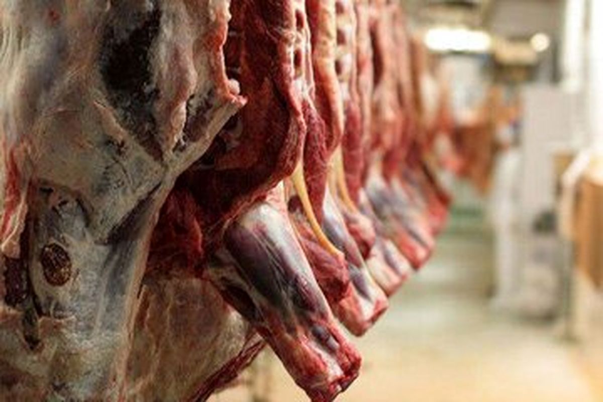 عکس | تقاضا برای گوشت قرمز سی درصد کاهش یافت