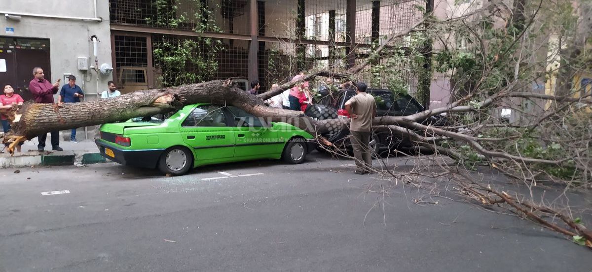 عکس | خسارت شدید طوفان تهران به چند ماشین در خیابان!