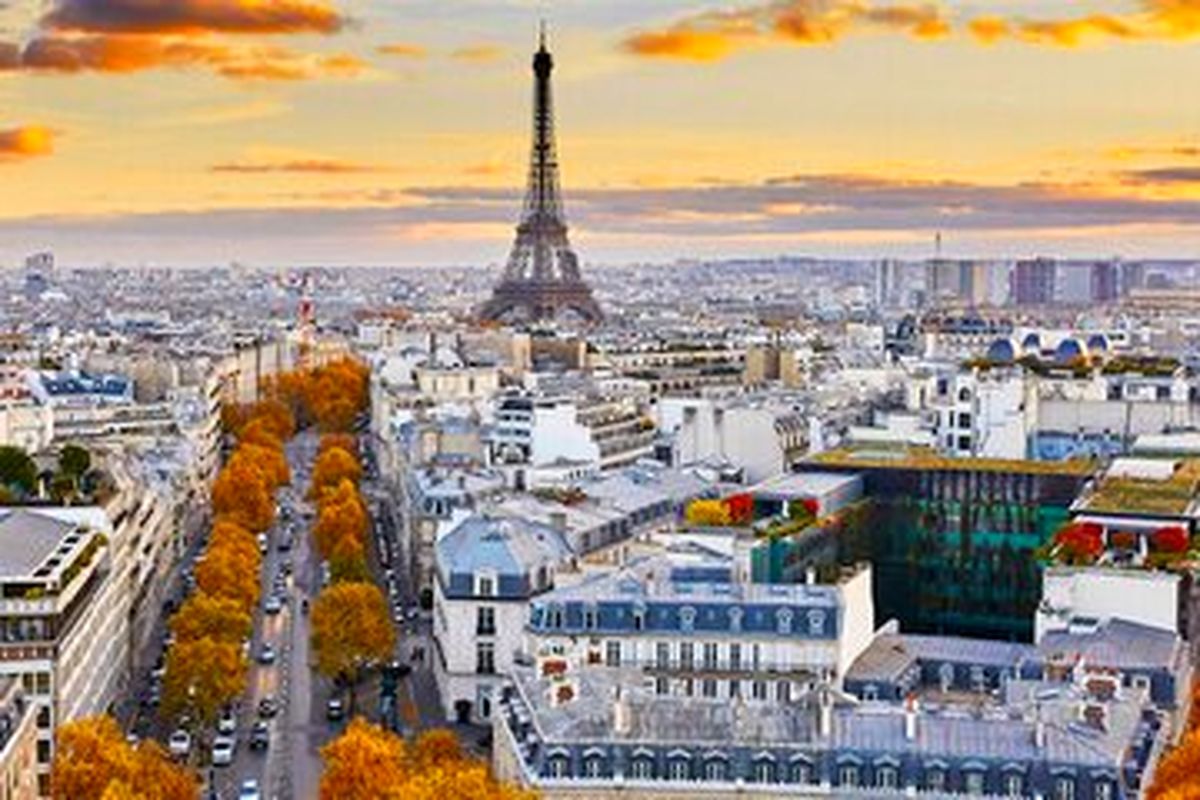 برخورد عجیب شهردار پاریس با معضل افزایش جمعیت موش‌ها