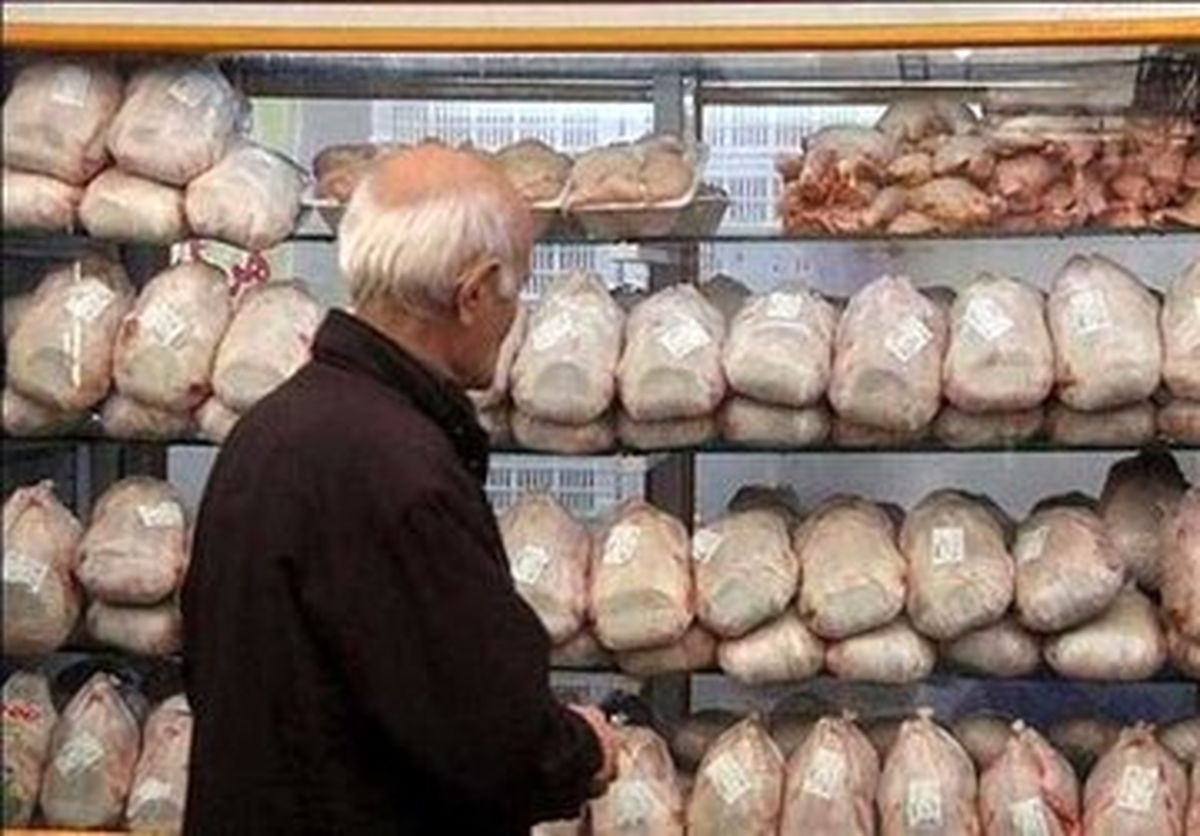 مرغ امروز به چه قیمتی در میادین و فروشگاه‌ها عرضه می‌شود؟