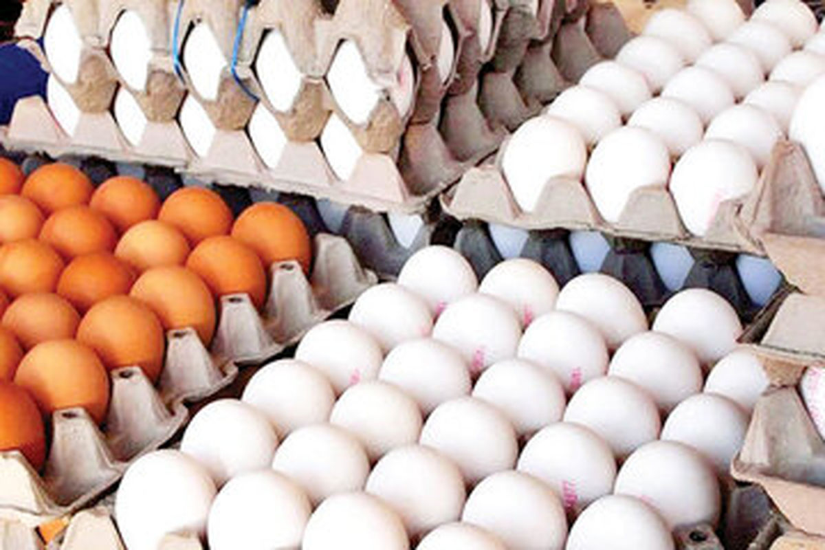 بازار آرام تخم مرغ/ قیمت‌ دوباره افزایش می‌یابد؟