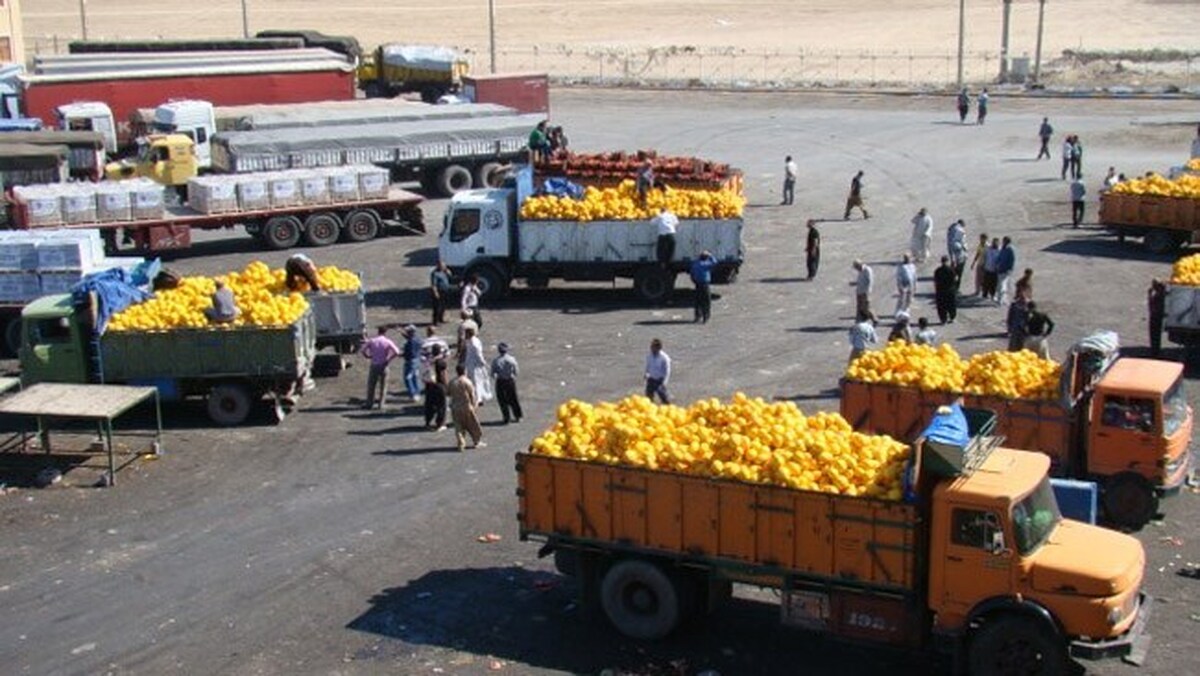 واردات ۴ قلم خوراکی به عراق ممنوع شد
