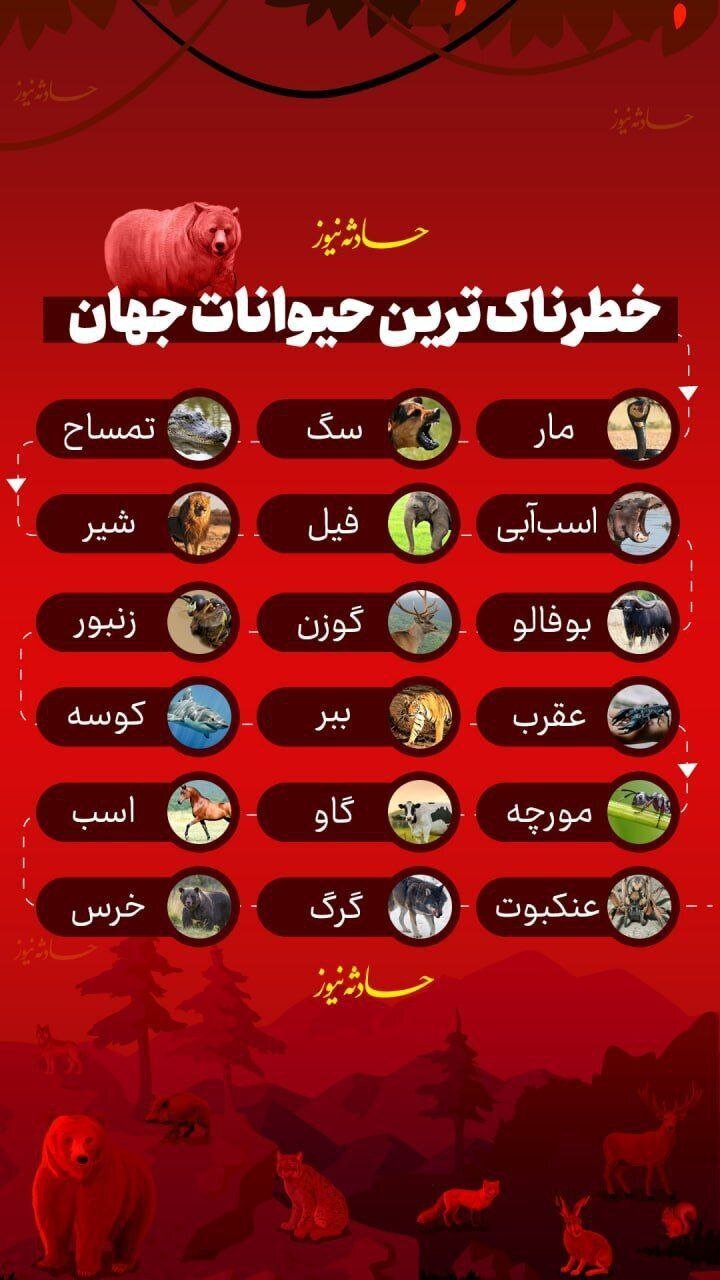 اینفوگرافیک | از ۱۸ حیوان خطرناک جهان دوری کنید