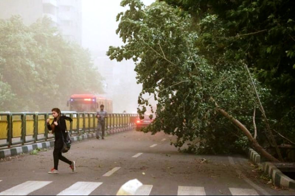 هشدار هواشناسی به اهالی تهران | مراقب باد شدید باشید