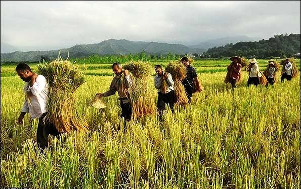 چه کسانی این ماه ۲۰ درصد افزایش مستمری داشتند؟