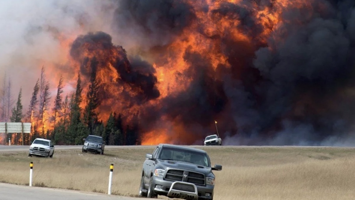 ویدیو | گردشگرانی که به تماشای آتش هولناک کانادا نشسته‌اند