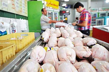 تقاضای بالا، دلیل افزایش قیمت مرغ!
