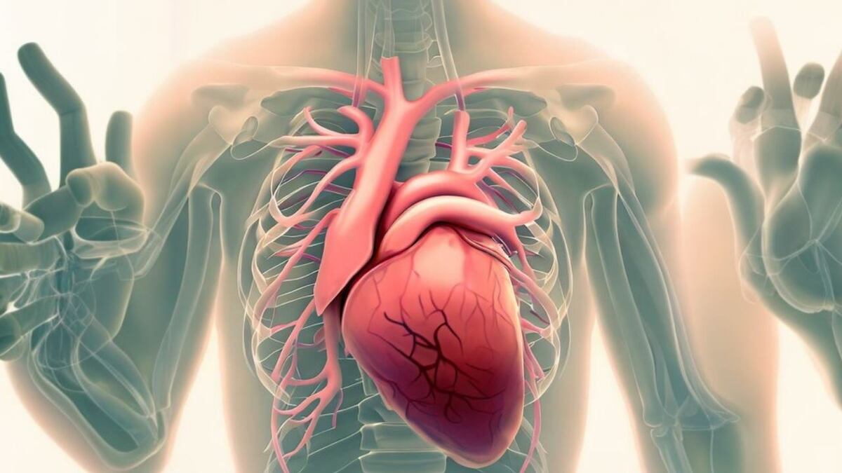 کشف جدید علمی | برای داشتن قلب سالم به جای ورزش این کار را بکنید!