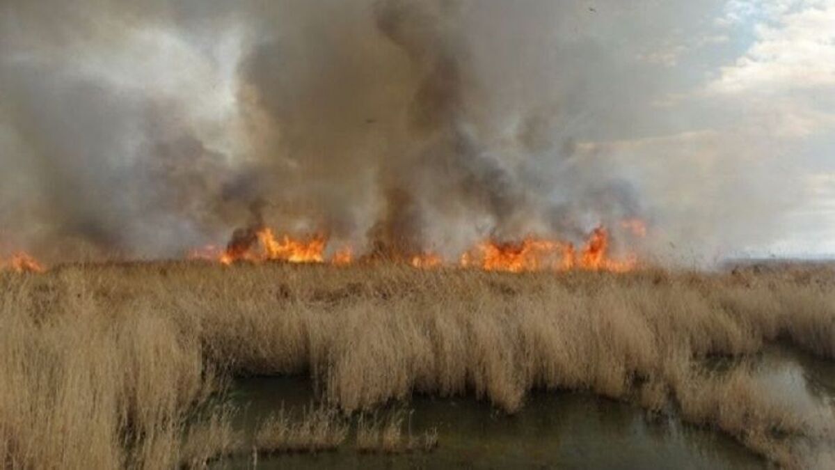 آتش‌سوزی گسترده در تالاب هورالعظیم و دودی که به چشم مردم خوزستان رفت