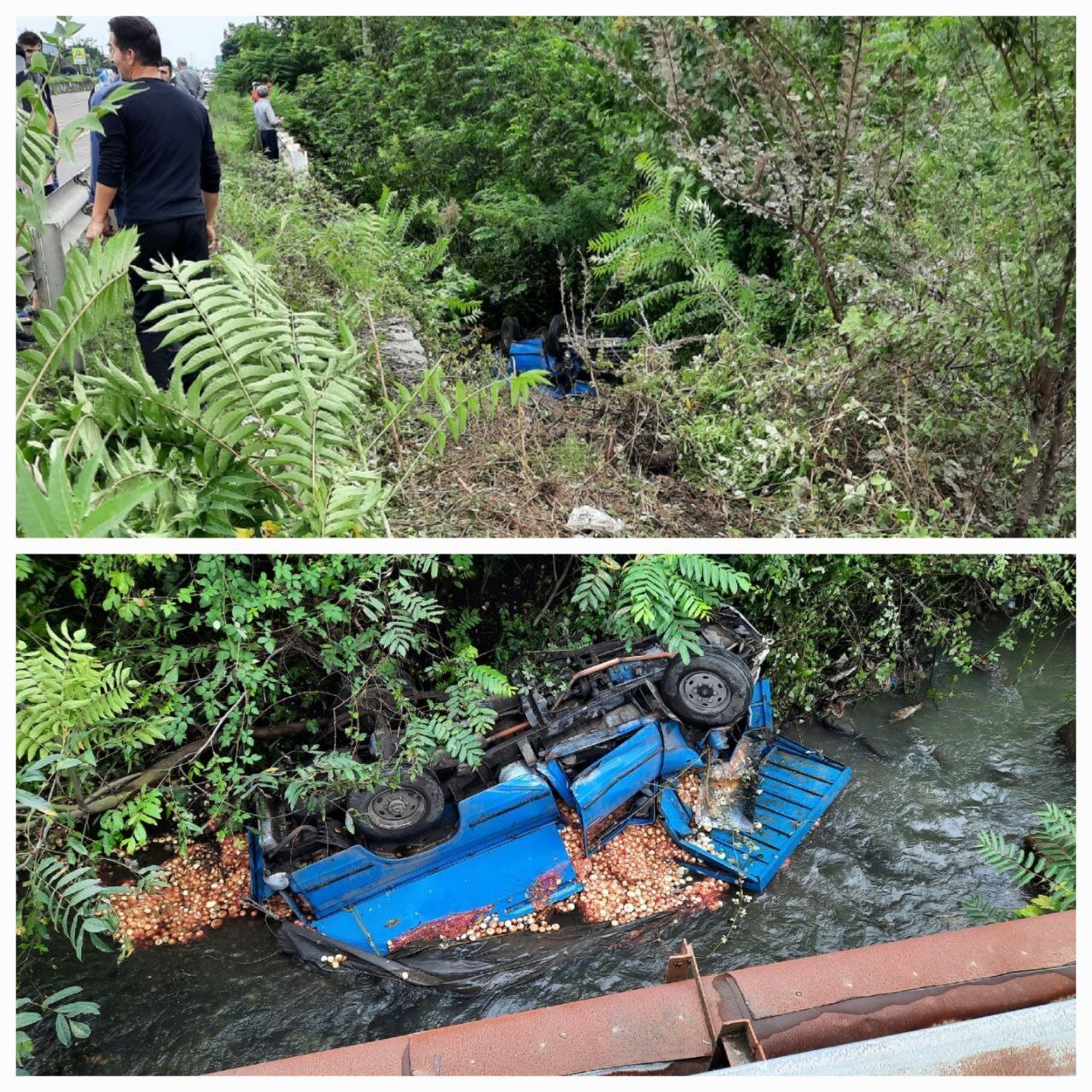 عکس | نیسان با بار پیاز چپ کرد