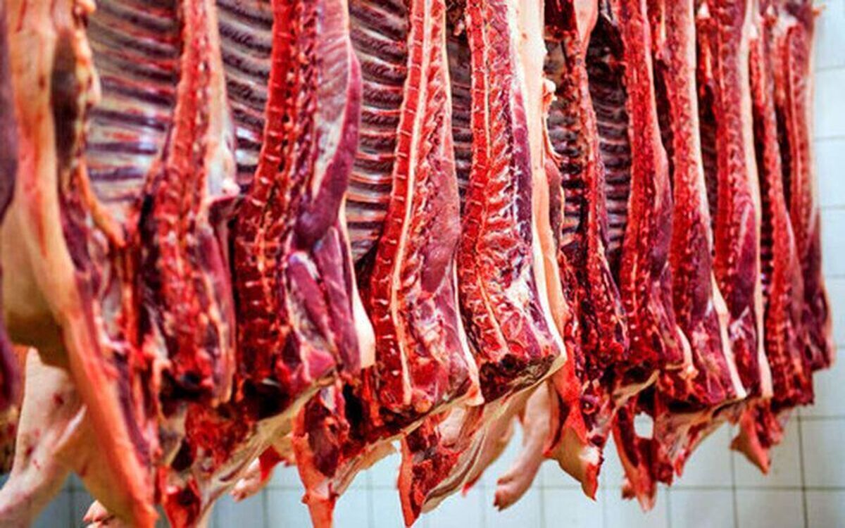 جدیدترین تصمیم برای قیمت گوشت قرمز در بازار | راسته گوسفندی ۳۱۰ هزار تومان