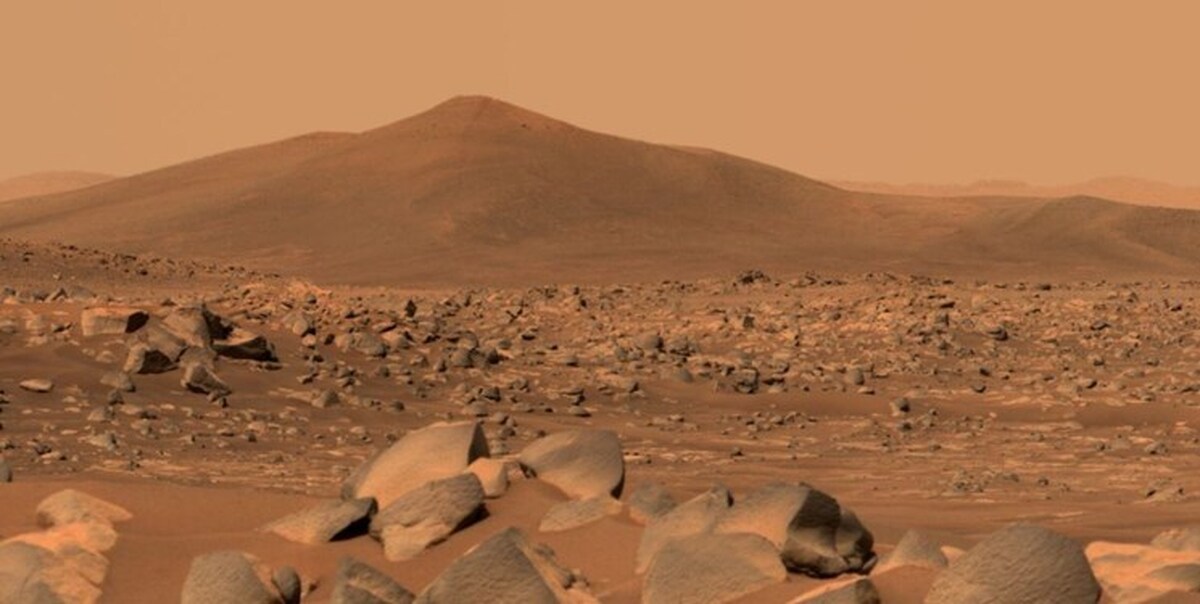 در مریخ آووکادو کشف شد! + عکس