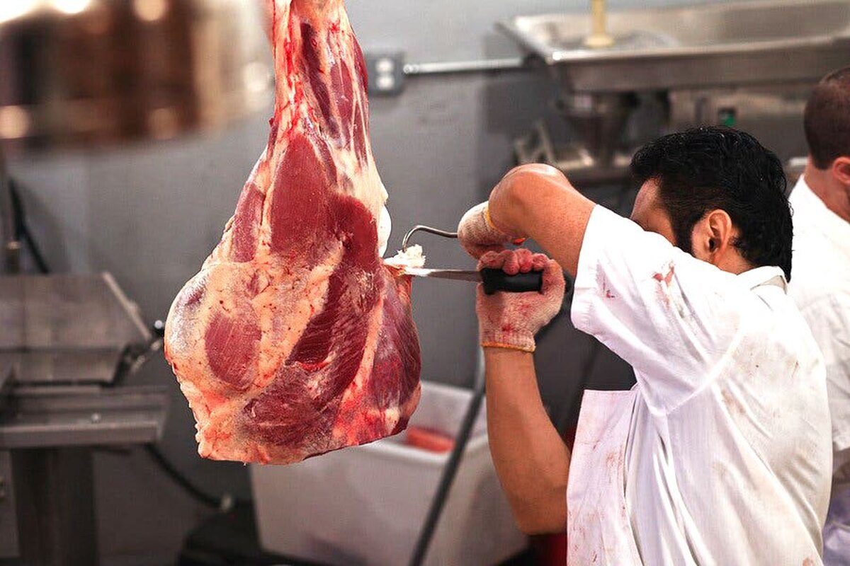 روزگار سخت مردم و قصاب‌ها در فروش گوشت | جدیدترین مدل‌های فروش گوشت در قصابی‌ها