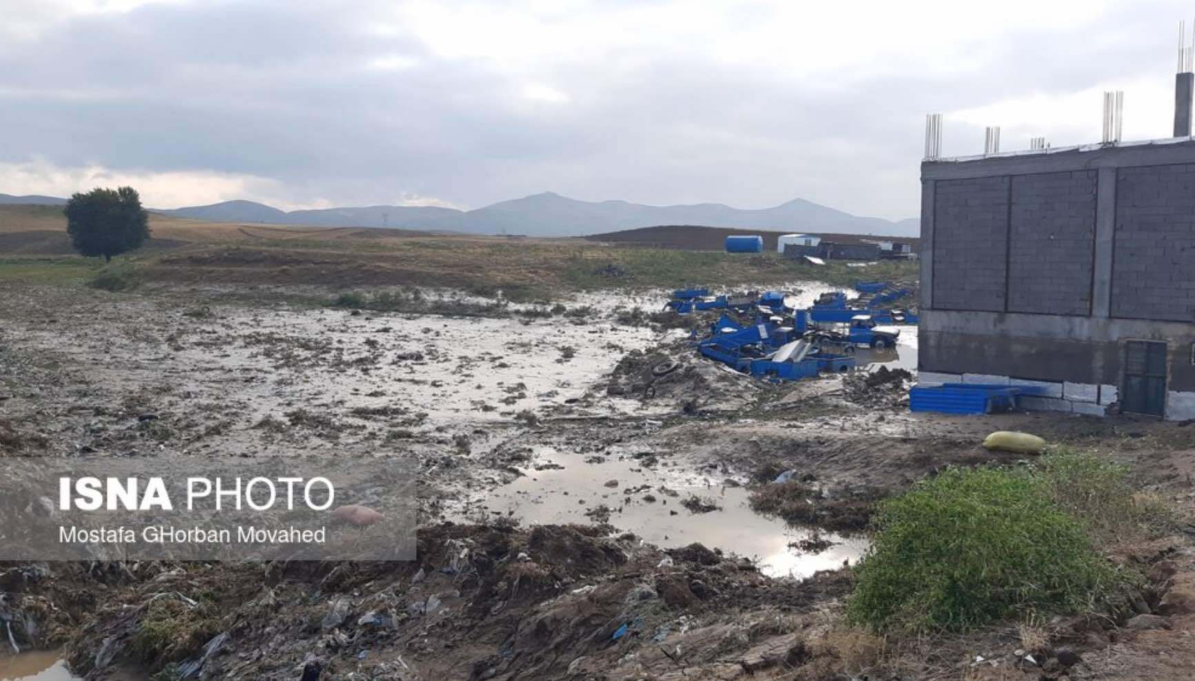 عکس | تصاویر عجیب از ماشین‌های در گل کرده سیل اهر