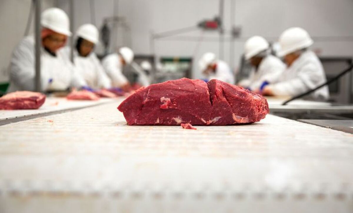 کاهش قیمت گوشت در راه است ؟