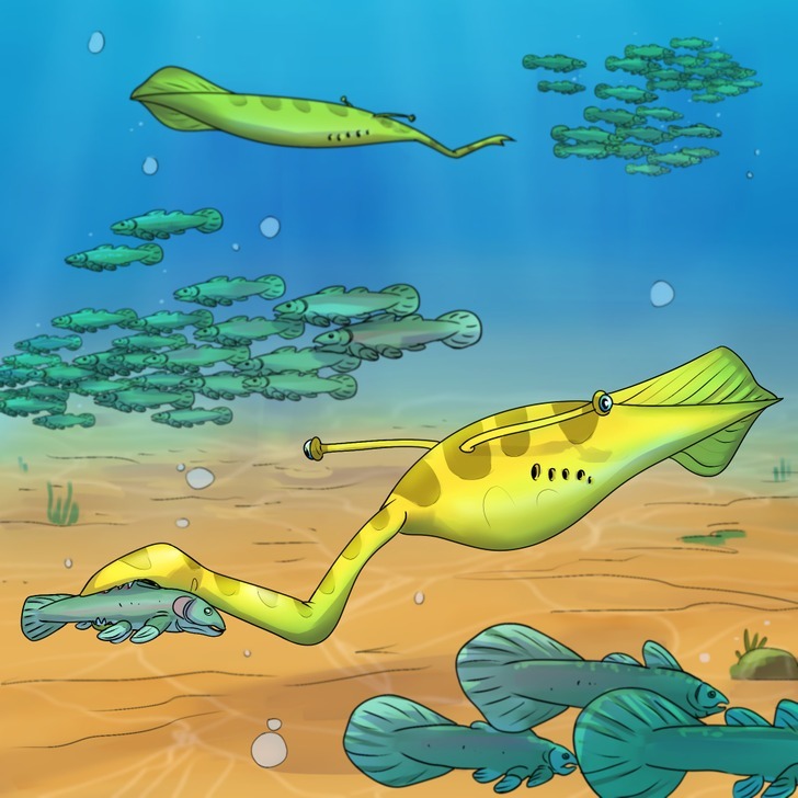 ۸ موجود عجیب الخلقه که پیش از انسان روی کره زمین زندگی میکردند! ۸ موجود عجیب الخلقه که پیش از انسان روی کره زمین زندگی میکردند!