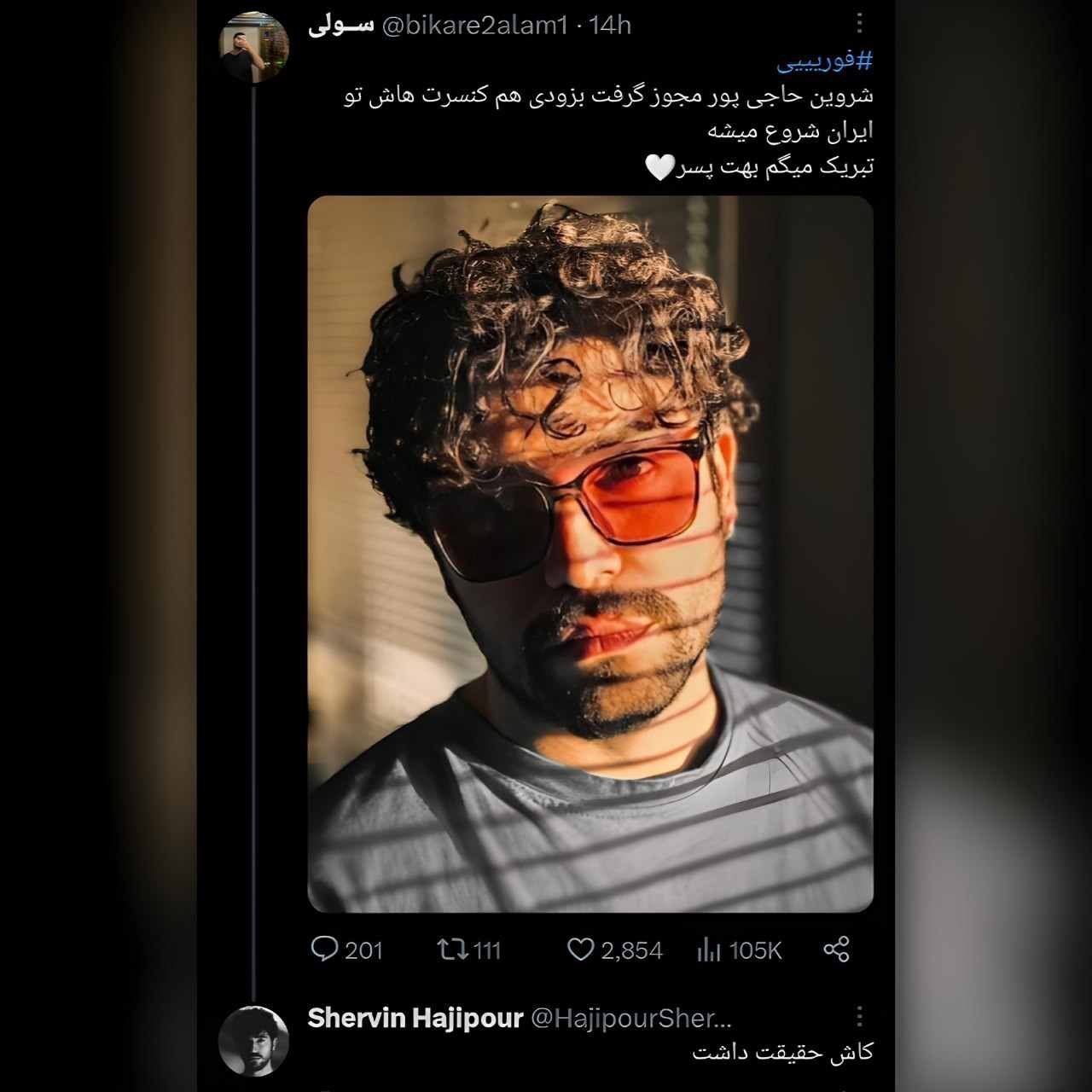 عکس | کامنت جنجالی شروین حاجی‌پور درباره برگزاری کنسرت