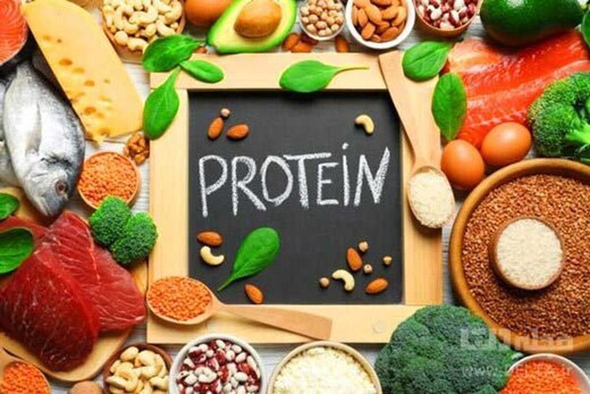 پروتئینی برای کاهش تضمینی وزن !
