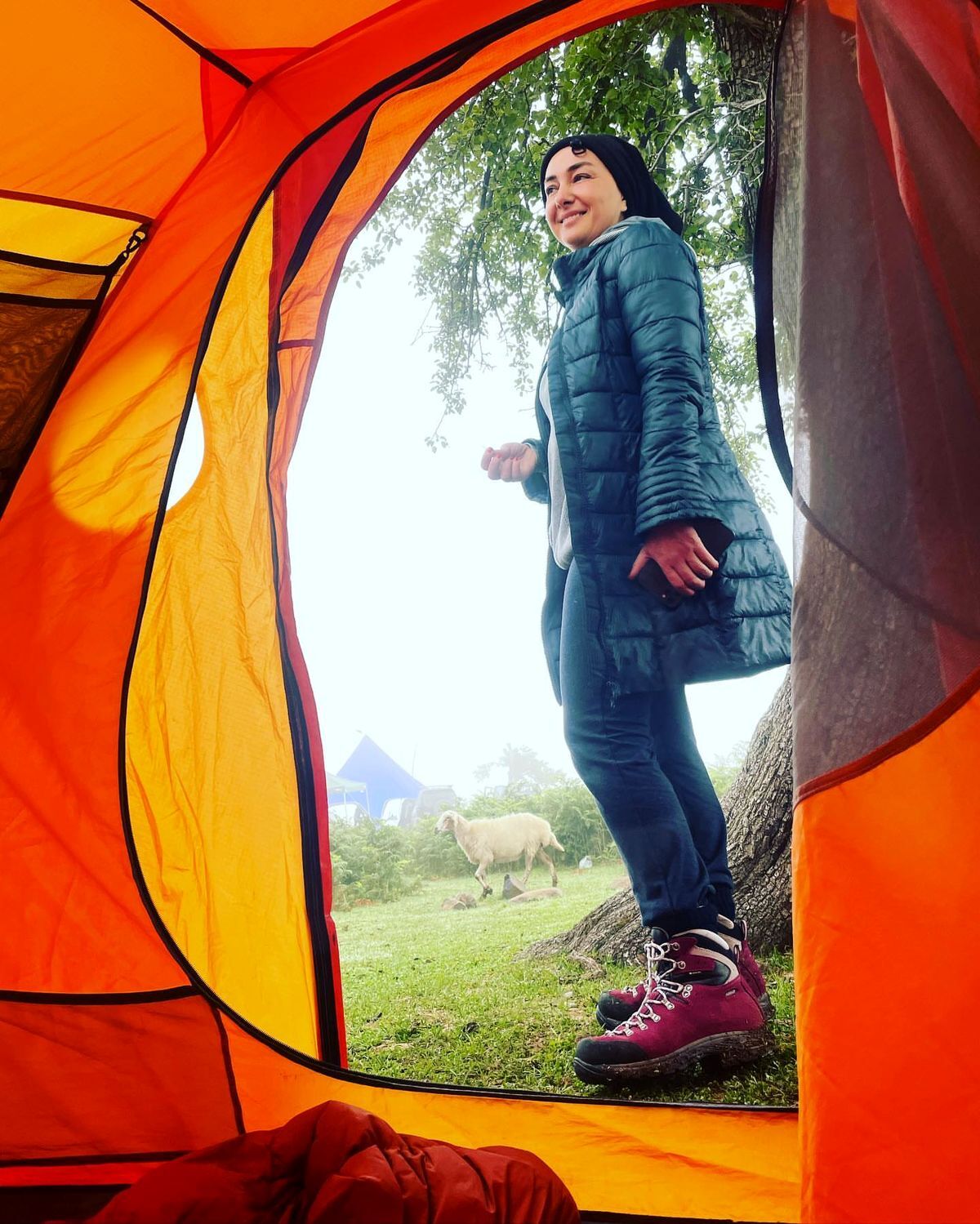 اتهام‌زنی به هانیه توسلی در ارتباط با پرونده قتل مهرجویی