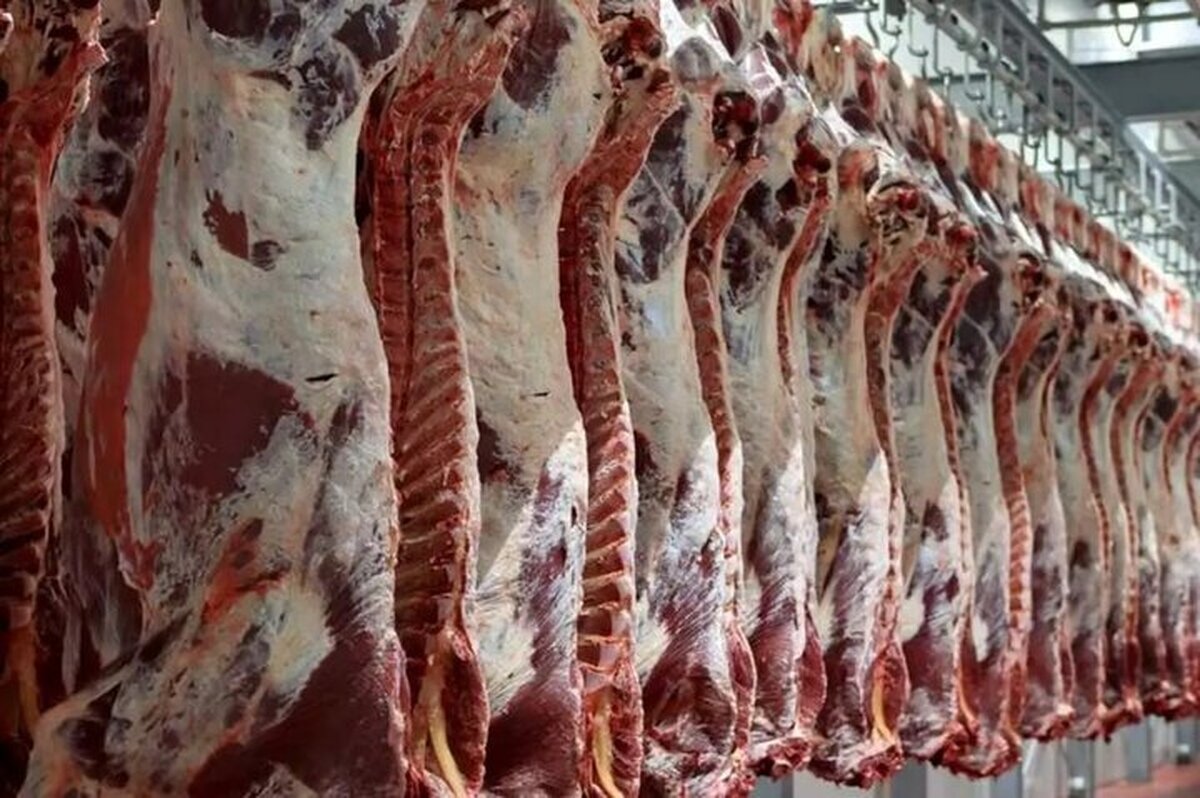 مقام وزارت کشاورزی : سه هفته دیگر گوشت زیاد می‌شود