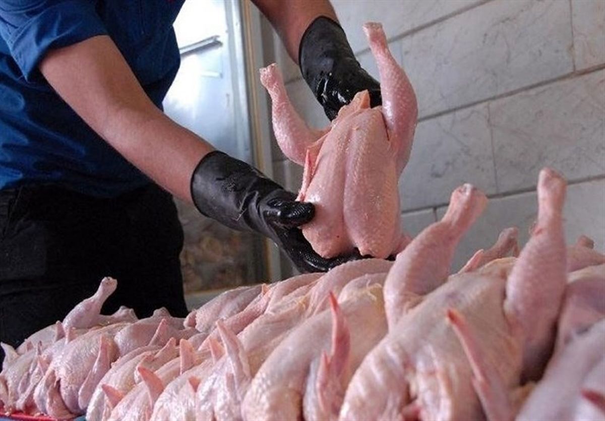 برای خرید مرغ چقدر باید هزینه کنیم ؟
