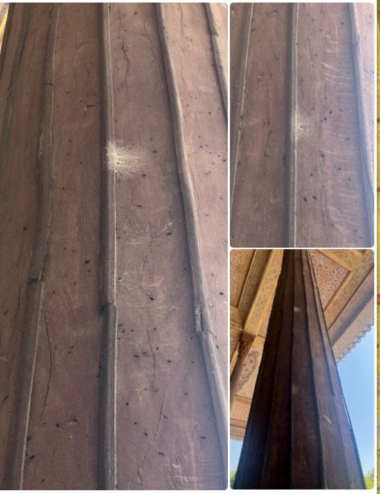 عکس | چهل ستون اصفهان خوراک موریانه‌ها شد