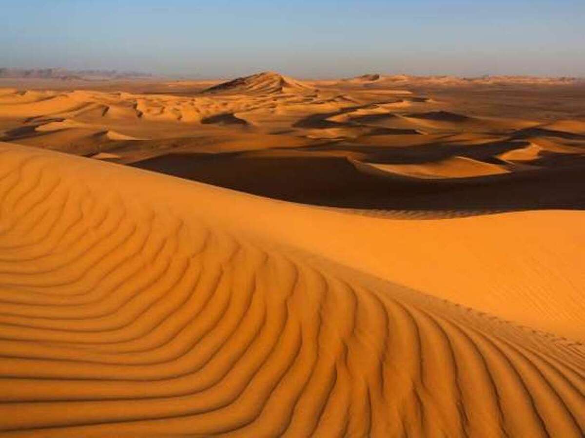 عکس | بیابان‌های عربستان درحال تبدیل شدن به جنگل